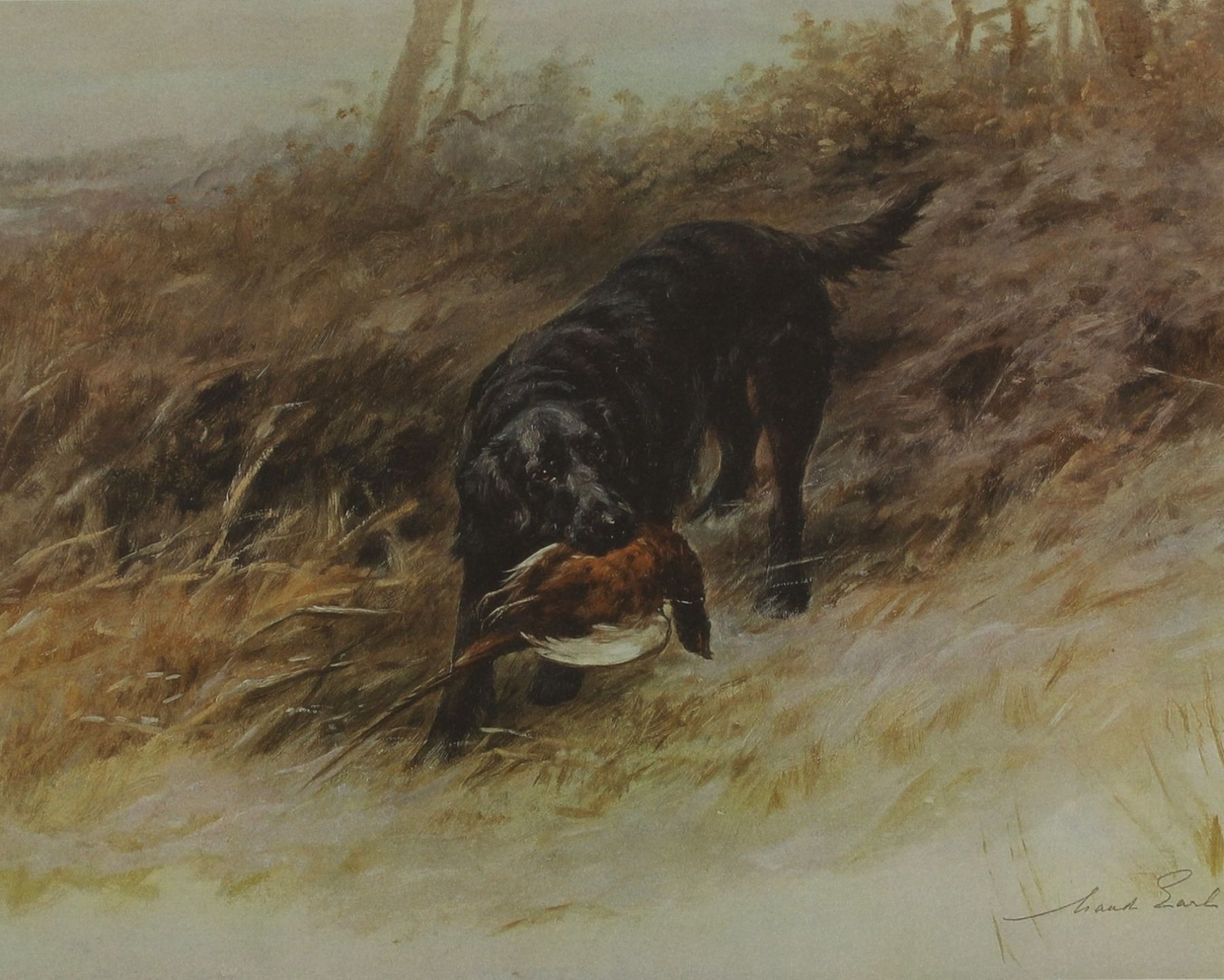 Rising to the Challenge